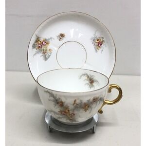 J. Mc D&S Limoges Tea Cup & Saucer gold Trim Floral‎ Pattern Vintage